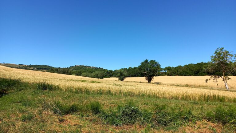 Campagne autour de Fanjeaux